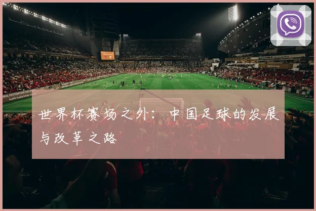 世界杯赛场之外：中国足球的发展与改革之路