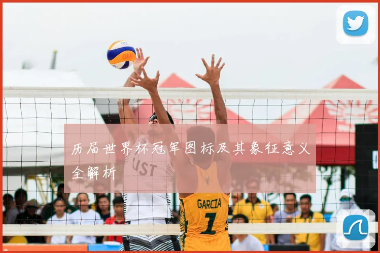 历届世界杯冠军图标及其象征意义全解析