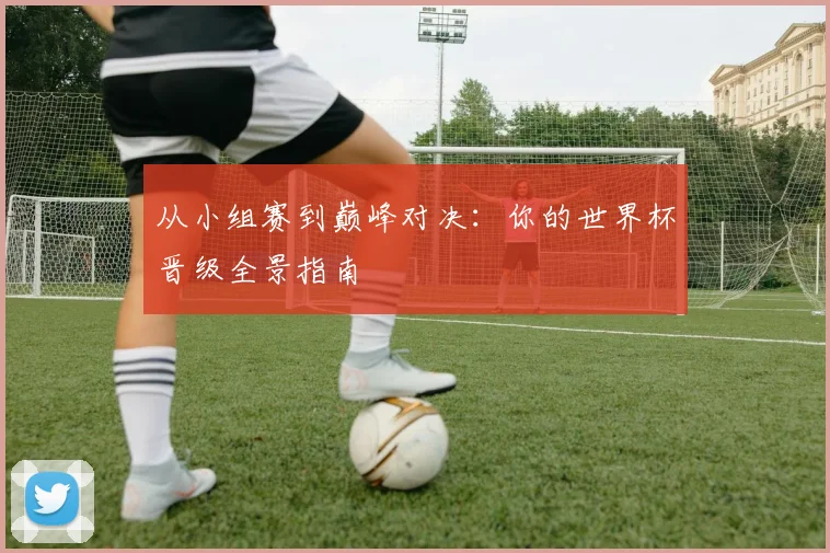 从小组赛到巅峰对决：你的世界杯晋级全景指南