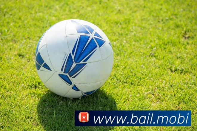 App Interface Preview